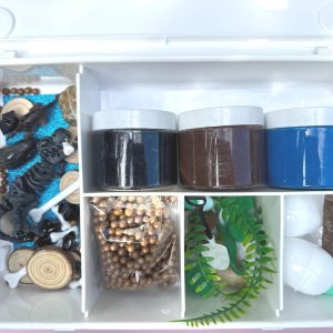 Dinosaur Skeleton Play Dough Sensory Kit